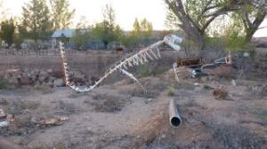 T-Rex - in Hanksville