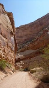 The bike ride down Canyon Reef