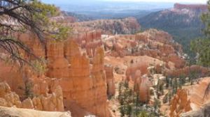 Overview of the trail