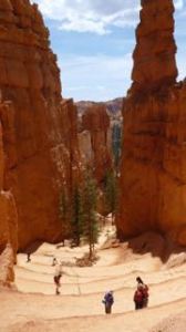 Looking back down the hiking trail