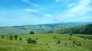 Beautiful rolling hills of SE Oregon