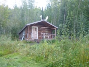 Robert Service cabin