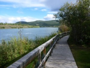 The Carmacks boardwalk on the Yukon River